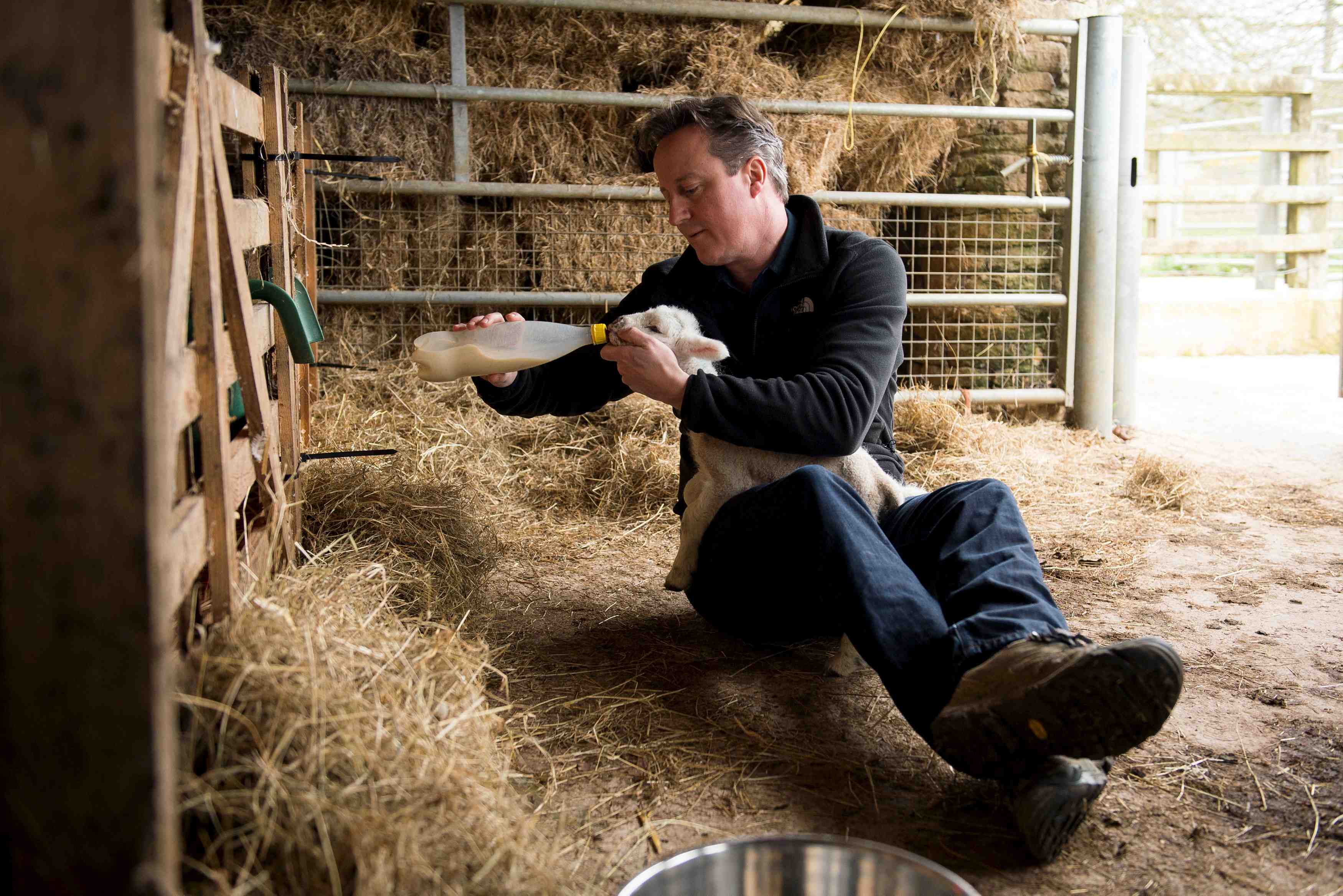 Un sondage rassurant pour david cameron