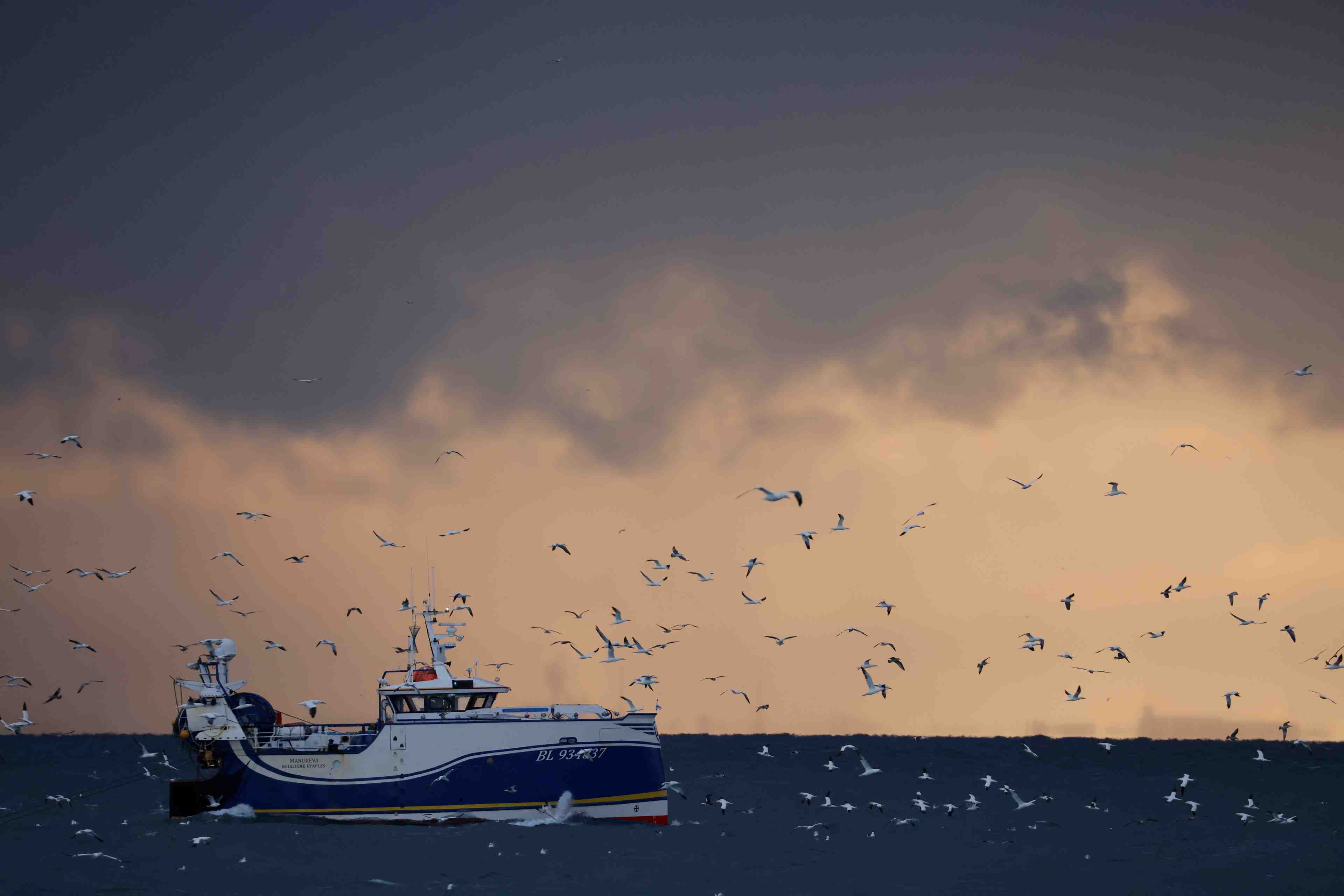 Peche: l'ue prete a accepter une reduction de 25% de ses prises dans les eaux gb, selon des sources