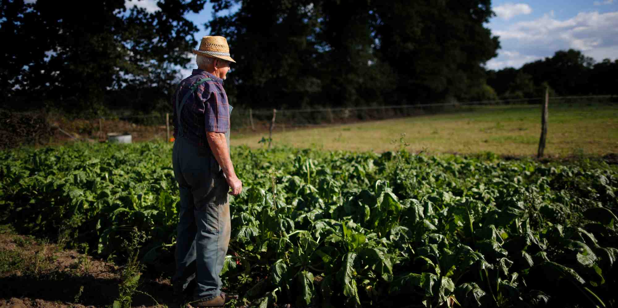 Une annonce plus que bienvenue pour le secteur du bio, dont le marché a commencé à se retourner en 2021 après des années de croissance à deux chiffres.