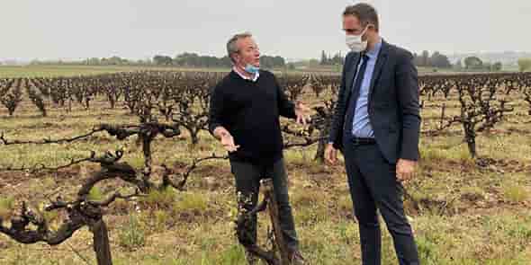 Michael Delafosse (président de la Métropole de Montpellier) dans les vignes suite à l'épisode de gel (avril 2021)