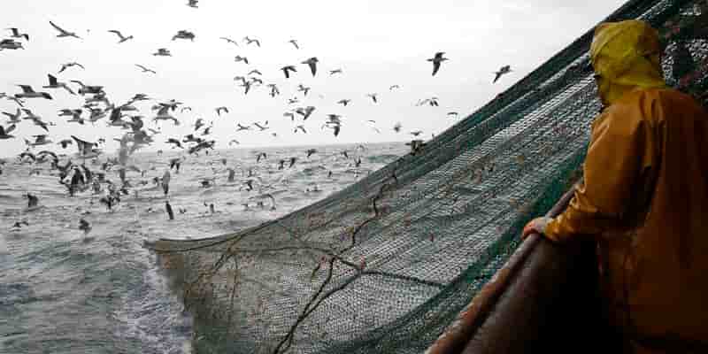 Le Parlement européen contre l'interdiction de la pêche profonde
