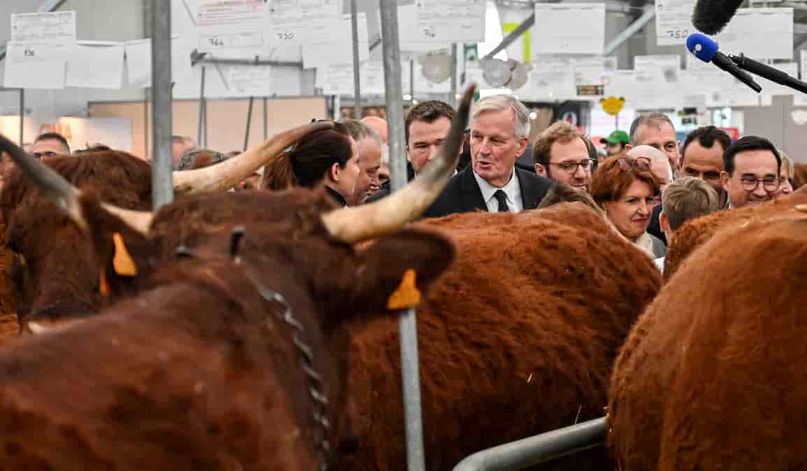 Michel Barnier et Annie Genevard au sommet de l'élevage de Cournon-d'Auvergne (Puy-de-Dôme).