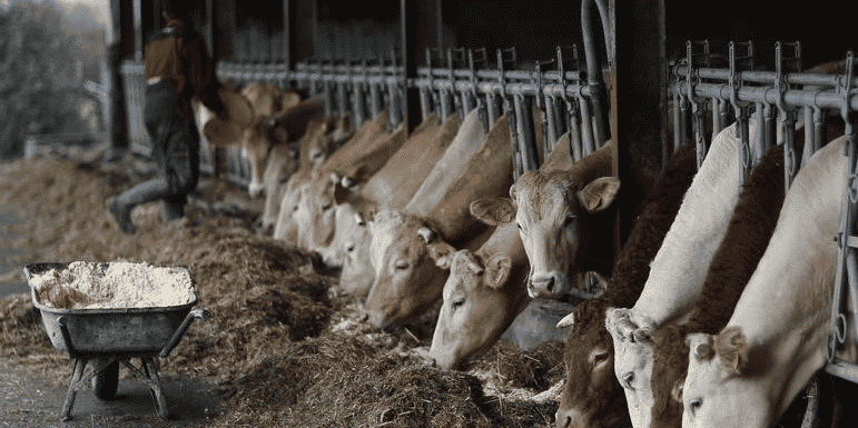 Reunion a bruxelles des ministres de l'agriculture de l'ue