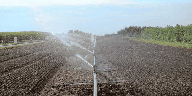 irrigation eau