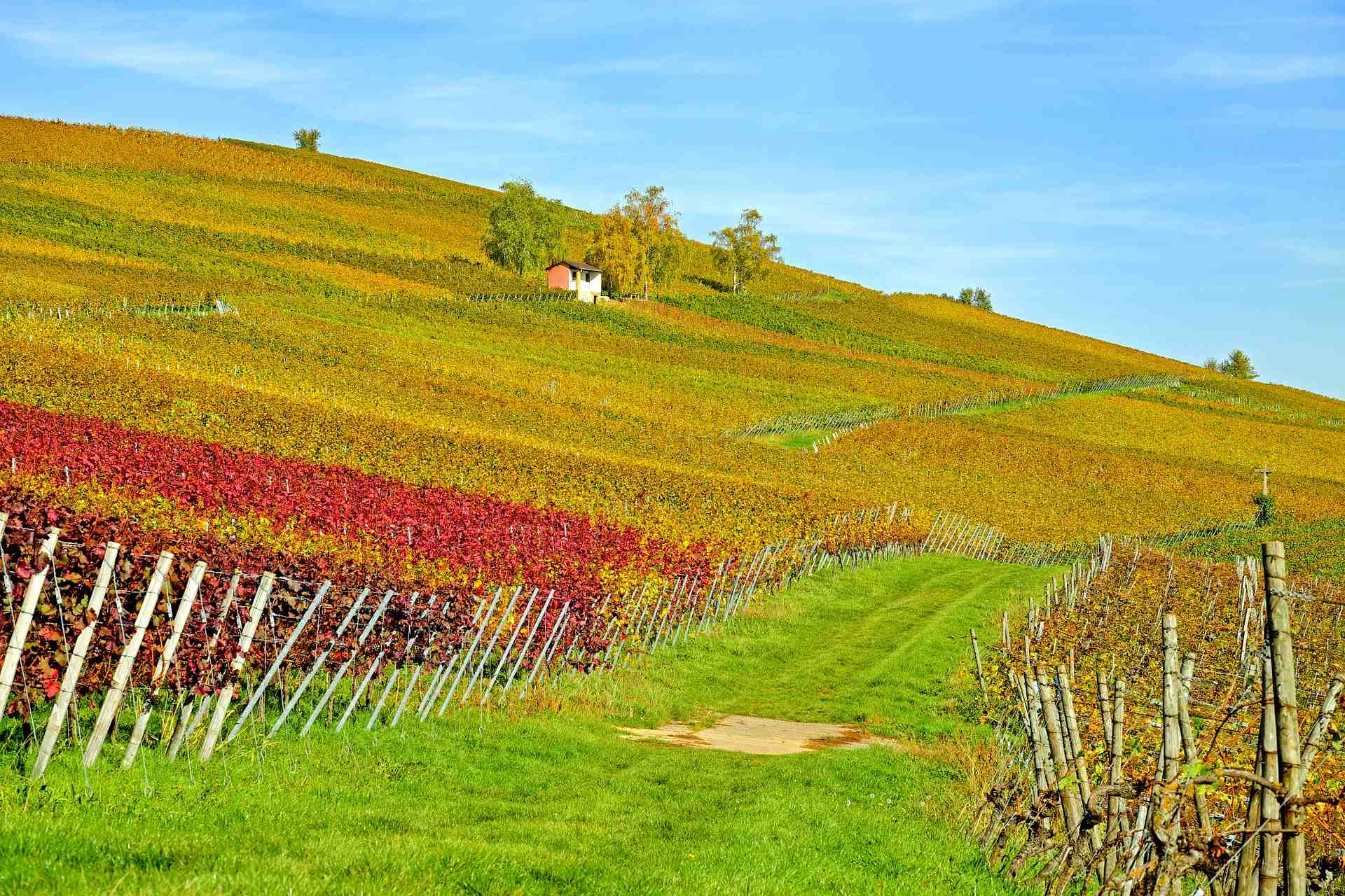 Agriculture