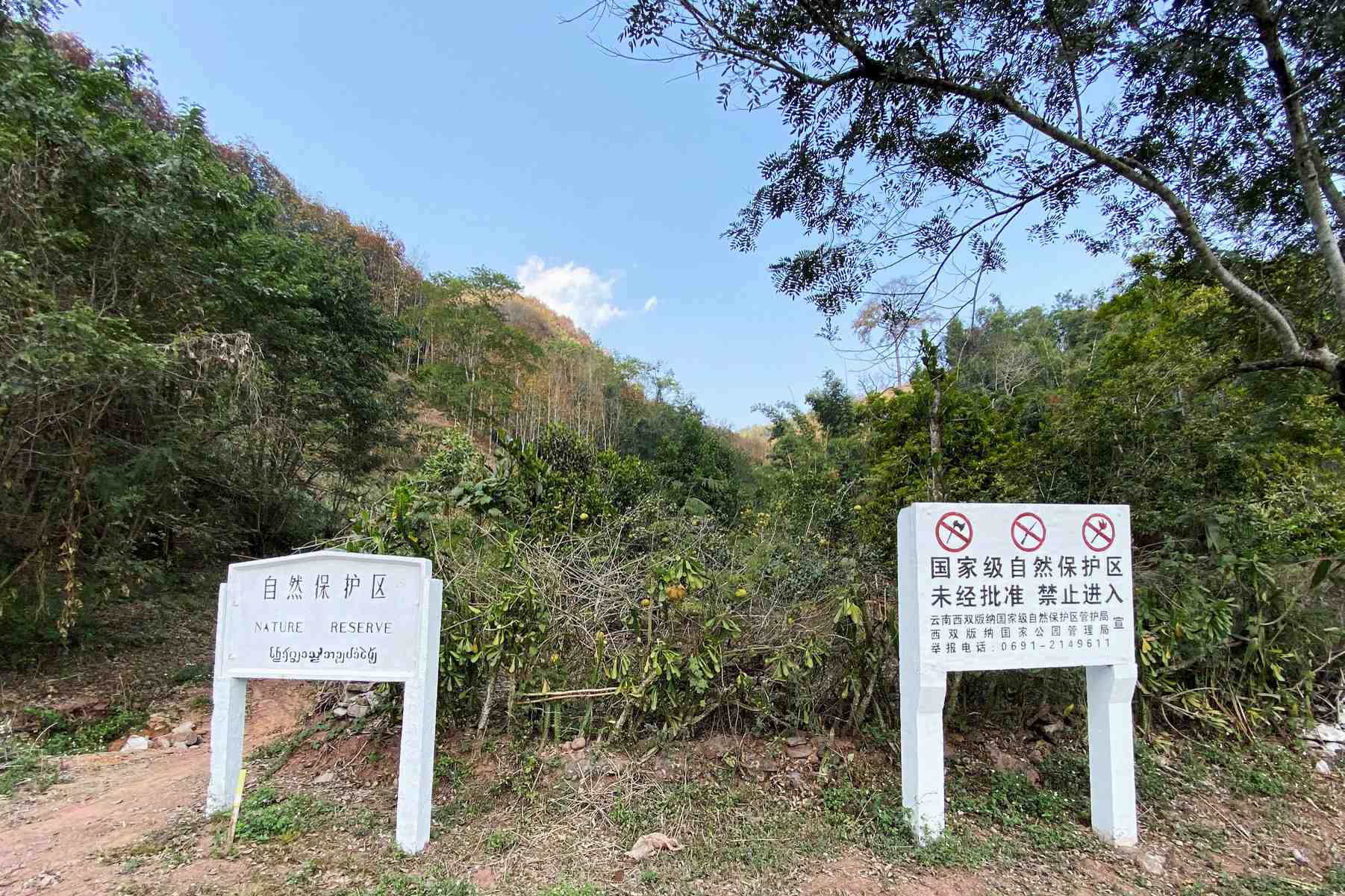 Des panneaux signalant la presence d'une reserve naturelle dans la province du yunnan, en chine