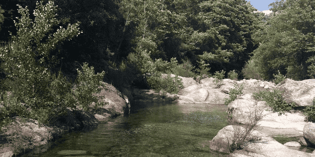 Sur le bassin Rhône-Méditerranée en Occitanie, 45% des rivières sont en bon état écologique, selon le rapport 2022 de l'agence de l'eau.