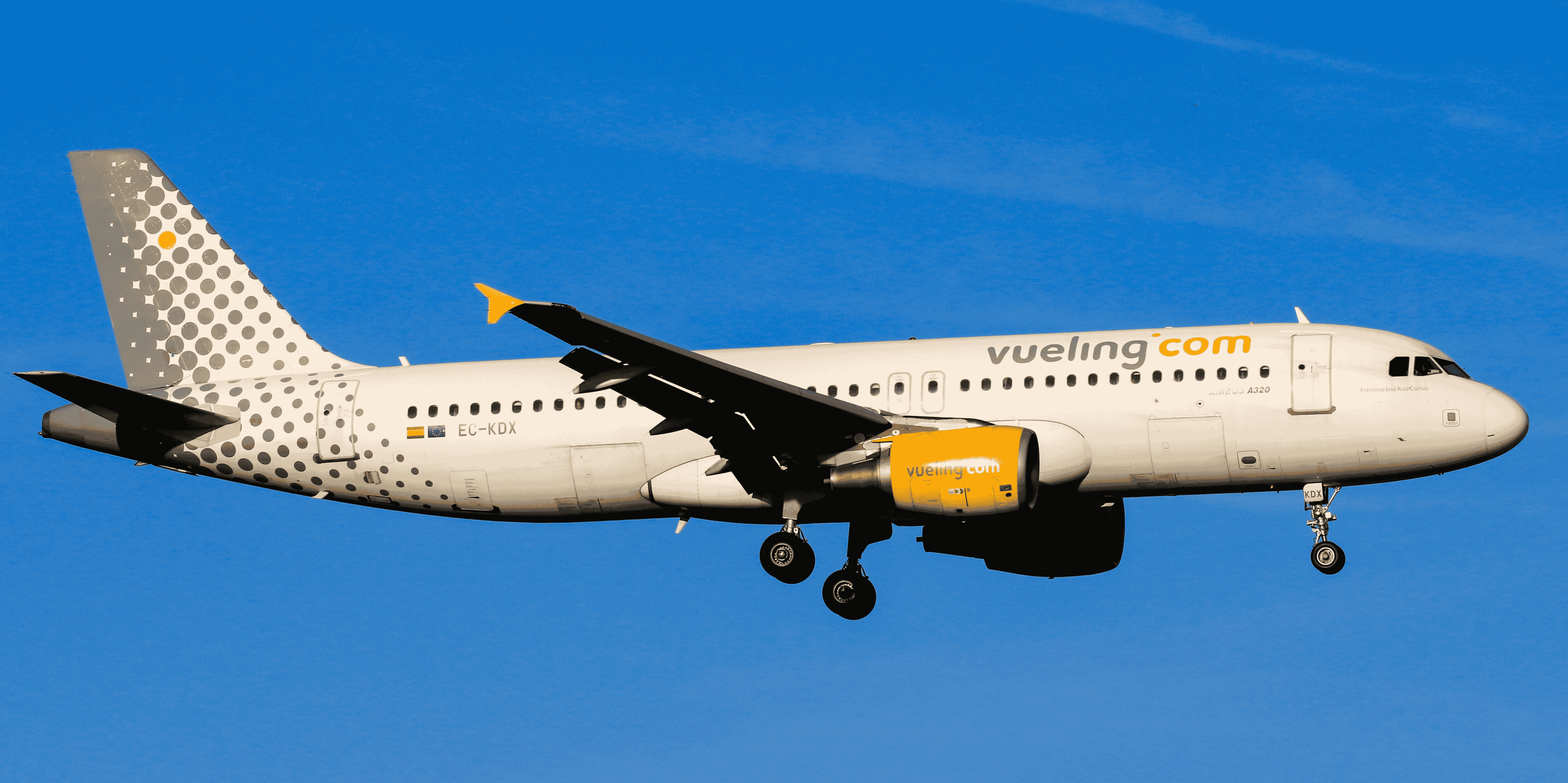 Vueling