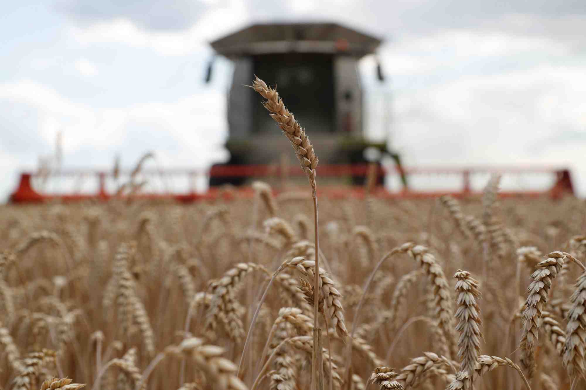 Les prix des denrees alimentaires ont de nouveau baisse en juillet, selon la fao