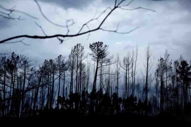 Portugal: demission de la ministre de l'interieur apres les incendies