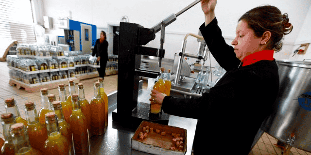 Agriculture huilerie Algérie transformation conditionnement