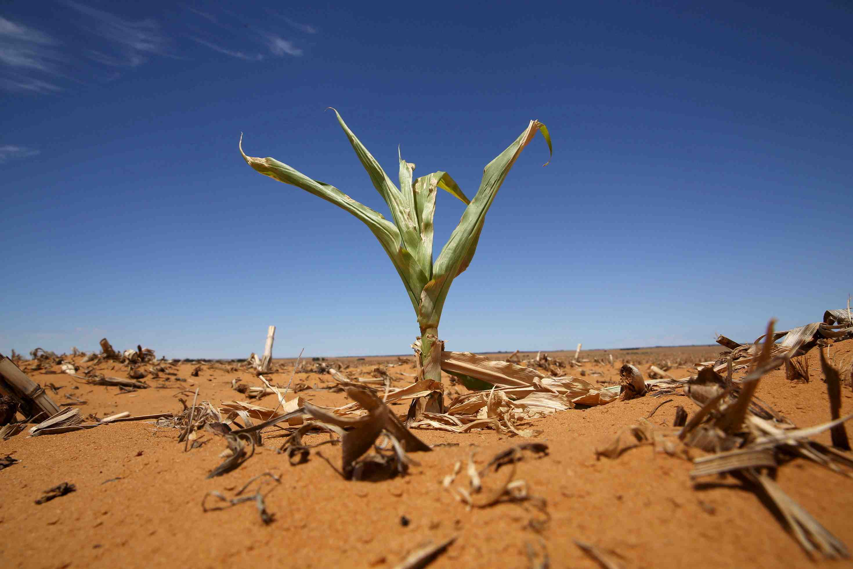 Climat: les promesses de reduction des emissions tres insuffisantes, dit l'onu