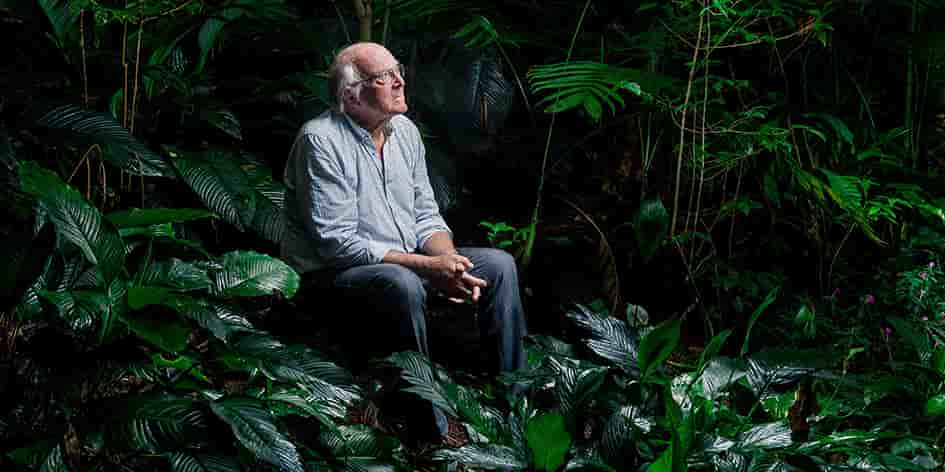 Pour le biologiste, « il est crucial de préserver ces immenses puits de carbone ».