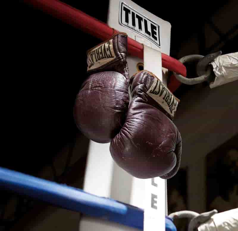 Les gants du combat du siècle adjugés 400.000 dollars