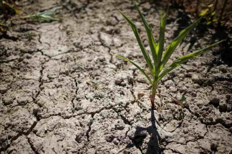 La secheresse des sols s'est accentuee en mai, selon meteo france