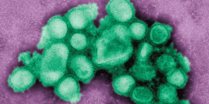Plusieurs deces lies a la grippe h1n1 en armenie et en georgie