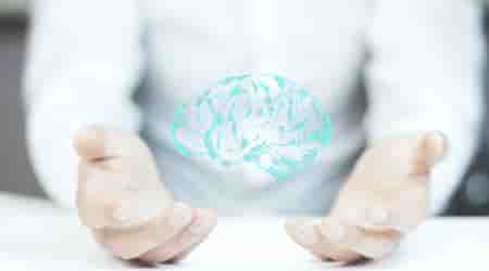 Ce que les neurosciences nous apprennent sur le management