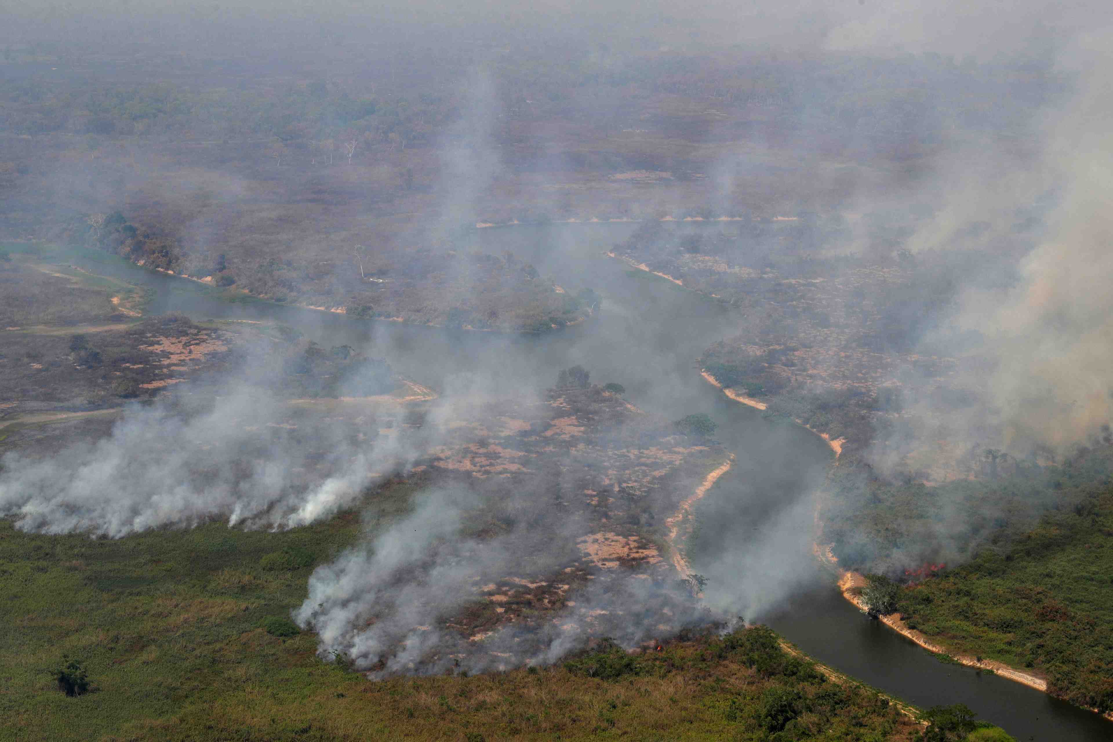 Le bresil dit qu'il arretera de lutter contre la deforestation, puis se ravise