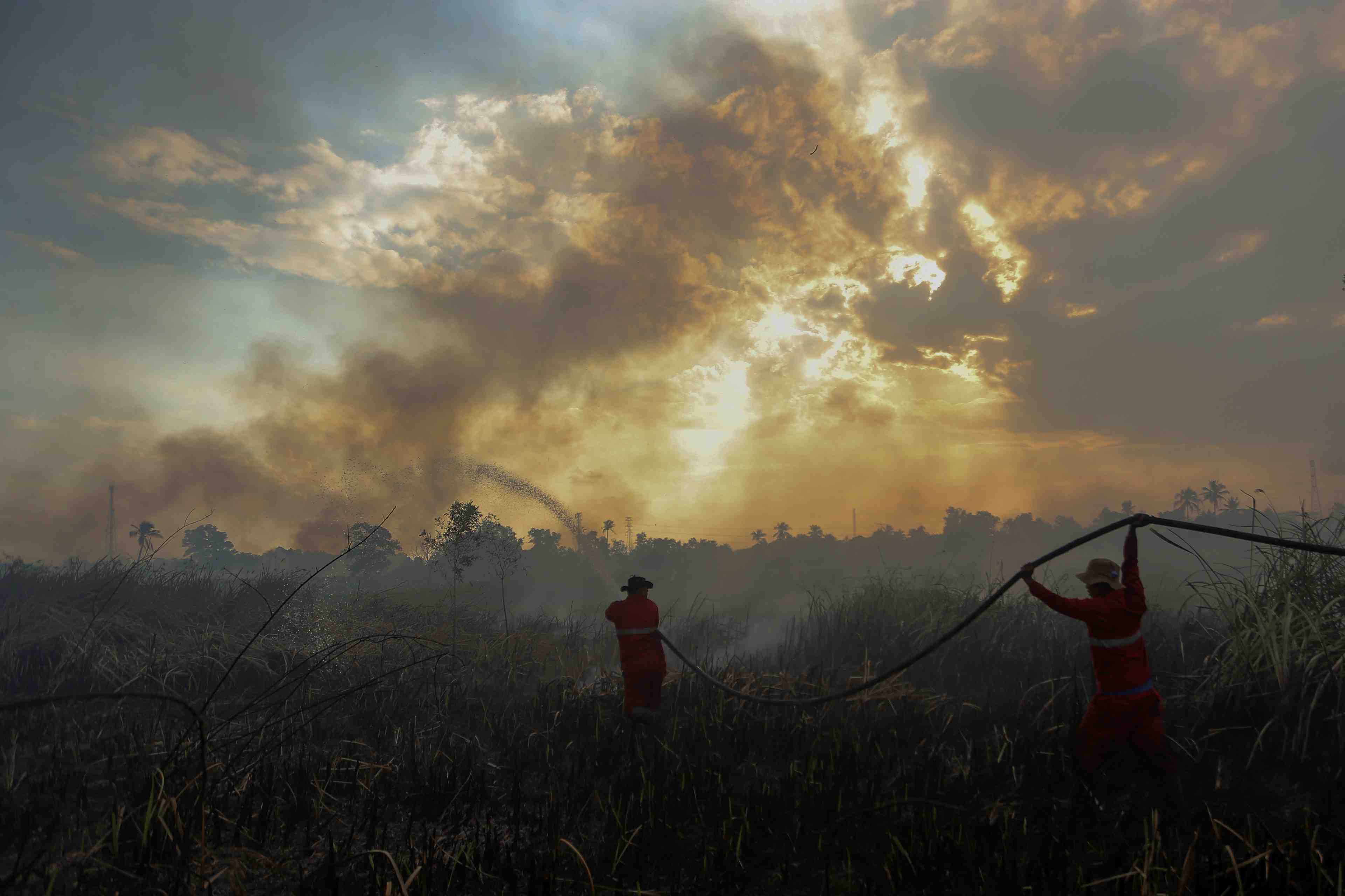 En indonesie, on peut tirer a vue sur les pyromanes