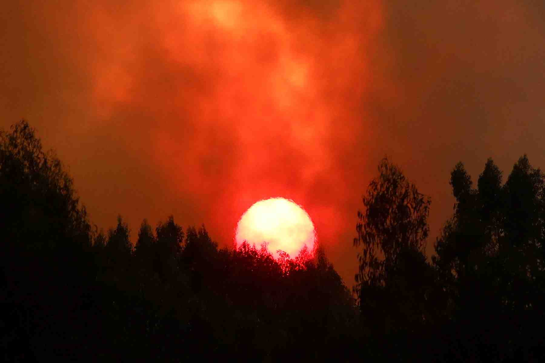 Feu de foret a mafra