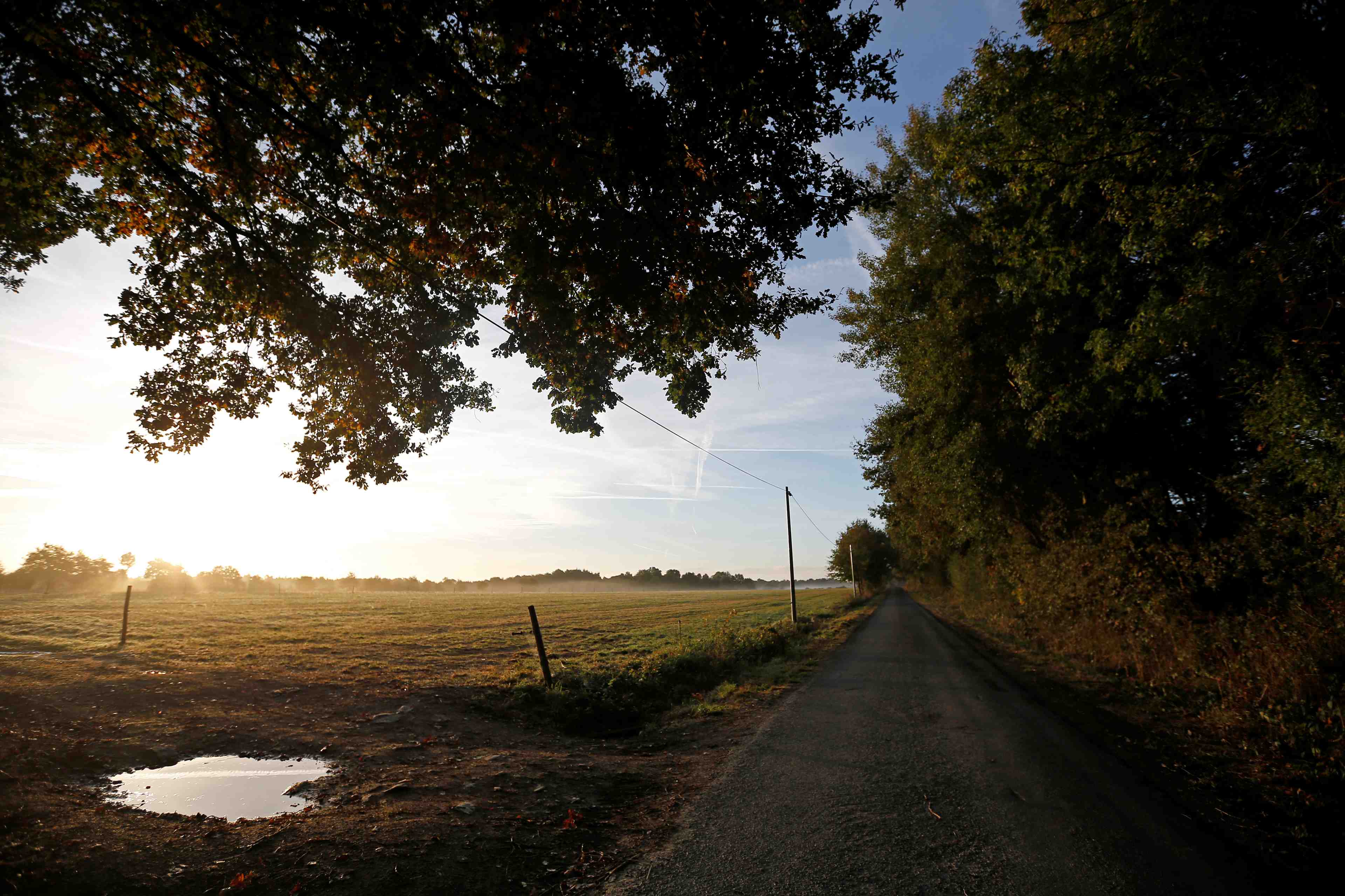 France: pierre & vacances renonce a un projet de center parc controverse