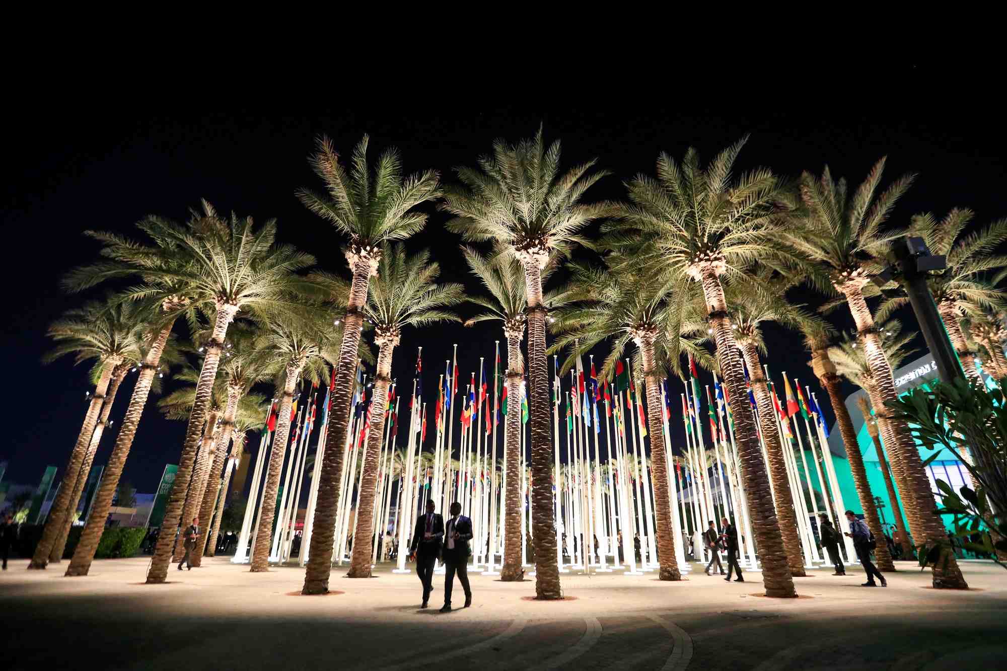 Le sommet climatique cop28 de l'onu a dubai