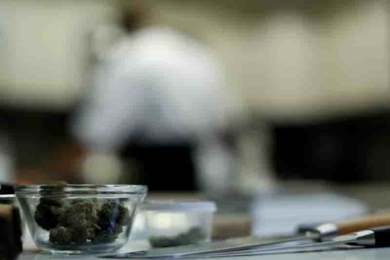 La californie, premier marche mondial du cannabis recreatif