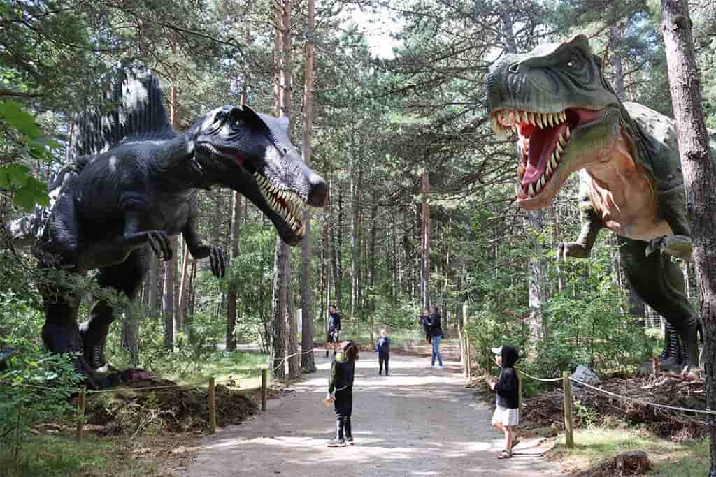 Le parc Dinopedia de Mende attire 30.000 visiteurs chaque année. « Ouvrir un tel parc en moins de six mois est impossible, au regard des règles d'urbanisme et d'environnement », réplique pour sa part le collectif Non aux Dinos opposé au projet de Trévoux (Ain).