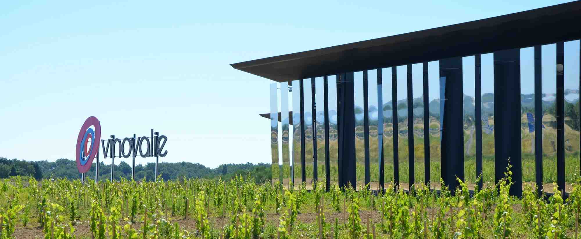 Vinovalie s'attend à perdre 20 à 30% de sa surface de production chez ses vignerons-coopérateurs.