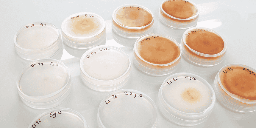 Immunrise Biocontrol