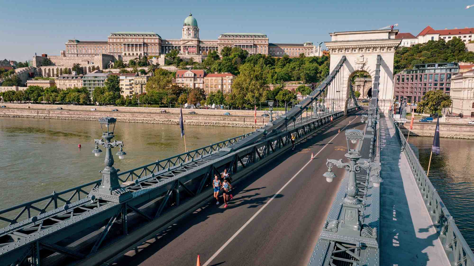 Une vue du pont des chaines a budapest