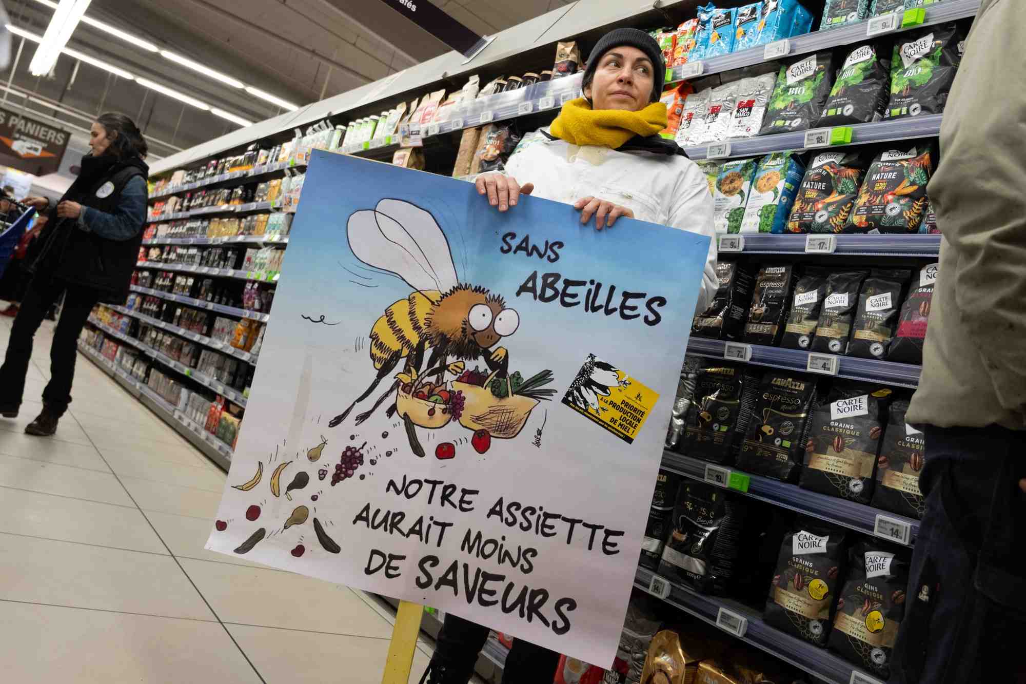 Entre 5 et 12% de la valeur totale des productions végétales françaises destinées à l'alimentation humaine dépendent des pollinisateurs.