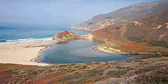 Biotope