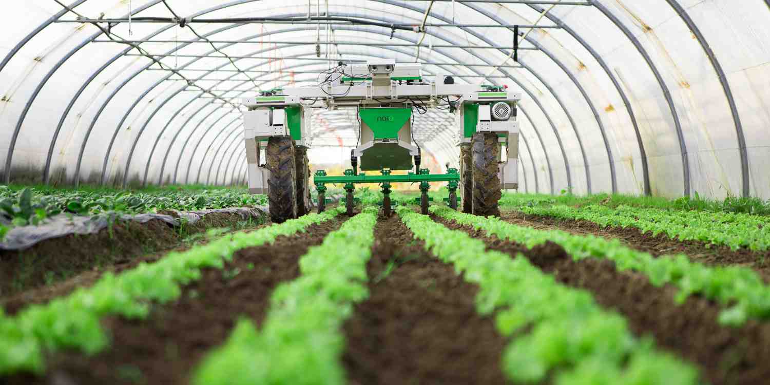 La rentabilité des fermes françaises est aussi grevée par leur petite taille, de 70 hectares en moyenne, « qui rend plus difficile d'opérer des économies d'échelle », analyse Aurélie Catallo, directrice Agriculture France à l'Iddri.