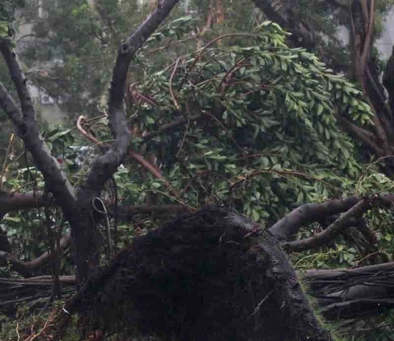 Orages meurtriers dans le sud-ouest