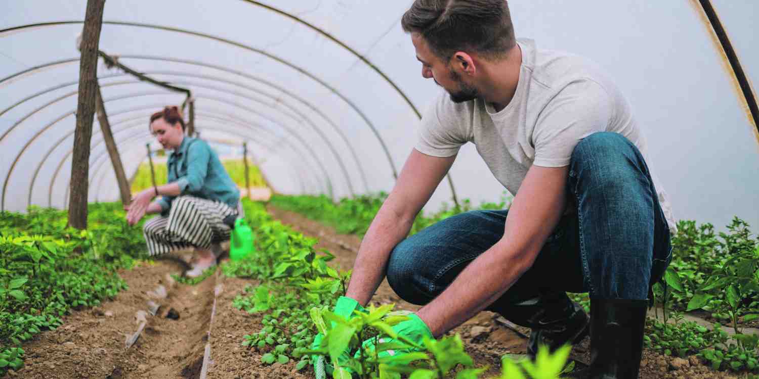 Depuis cinq ans, 44 projets pour une agriculture écologiquement performante ont été subventionnés par la Région pour un montant de 3,4 millions d’euros.