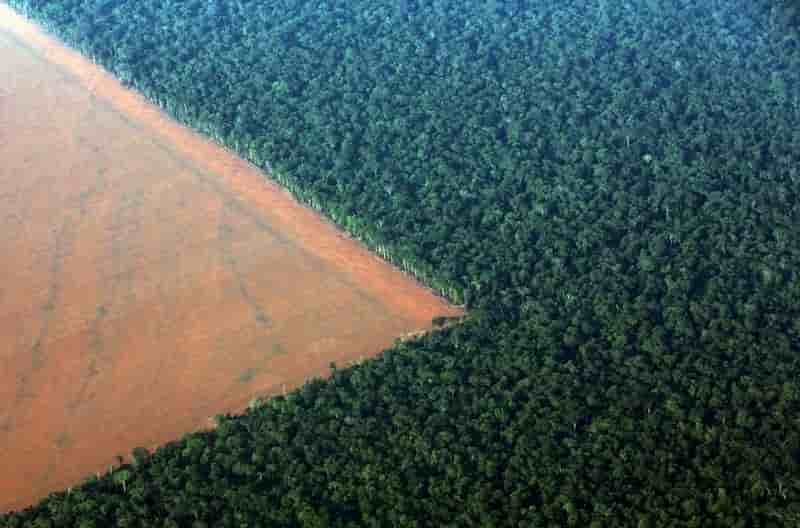 La deforestation en amazonie en hausse de 16% sur un an
