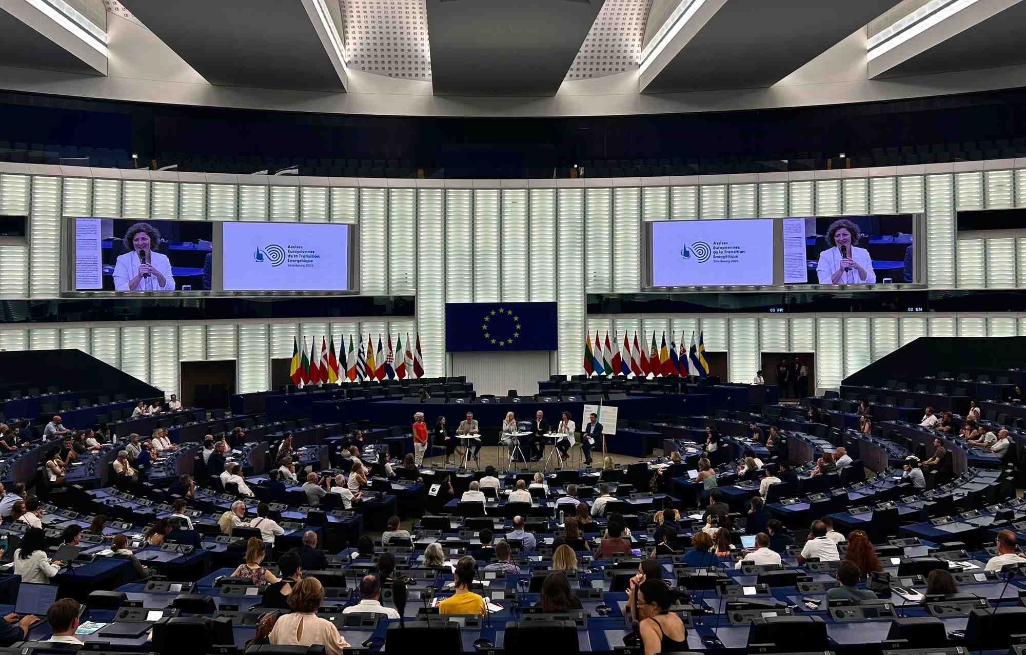 Parlement européen, lors de la remise du plaidoyer.