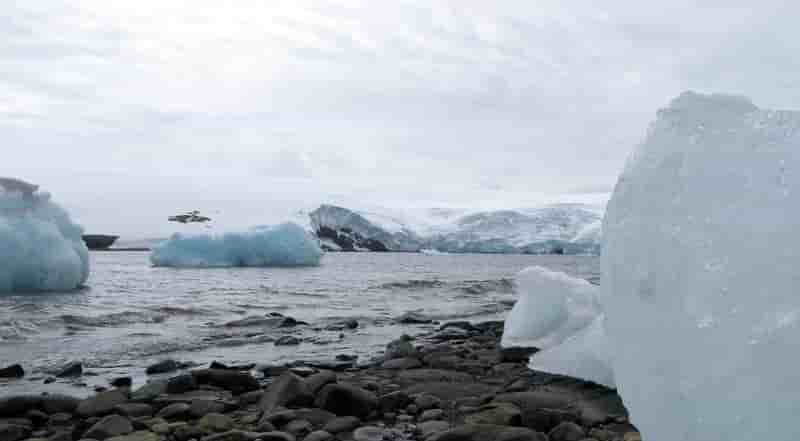 Les glaces de l'arctique pourraient fondre plus vite que prevu