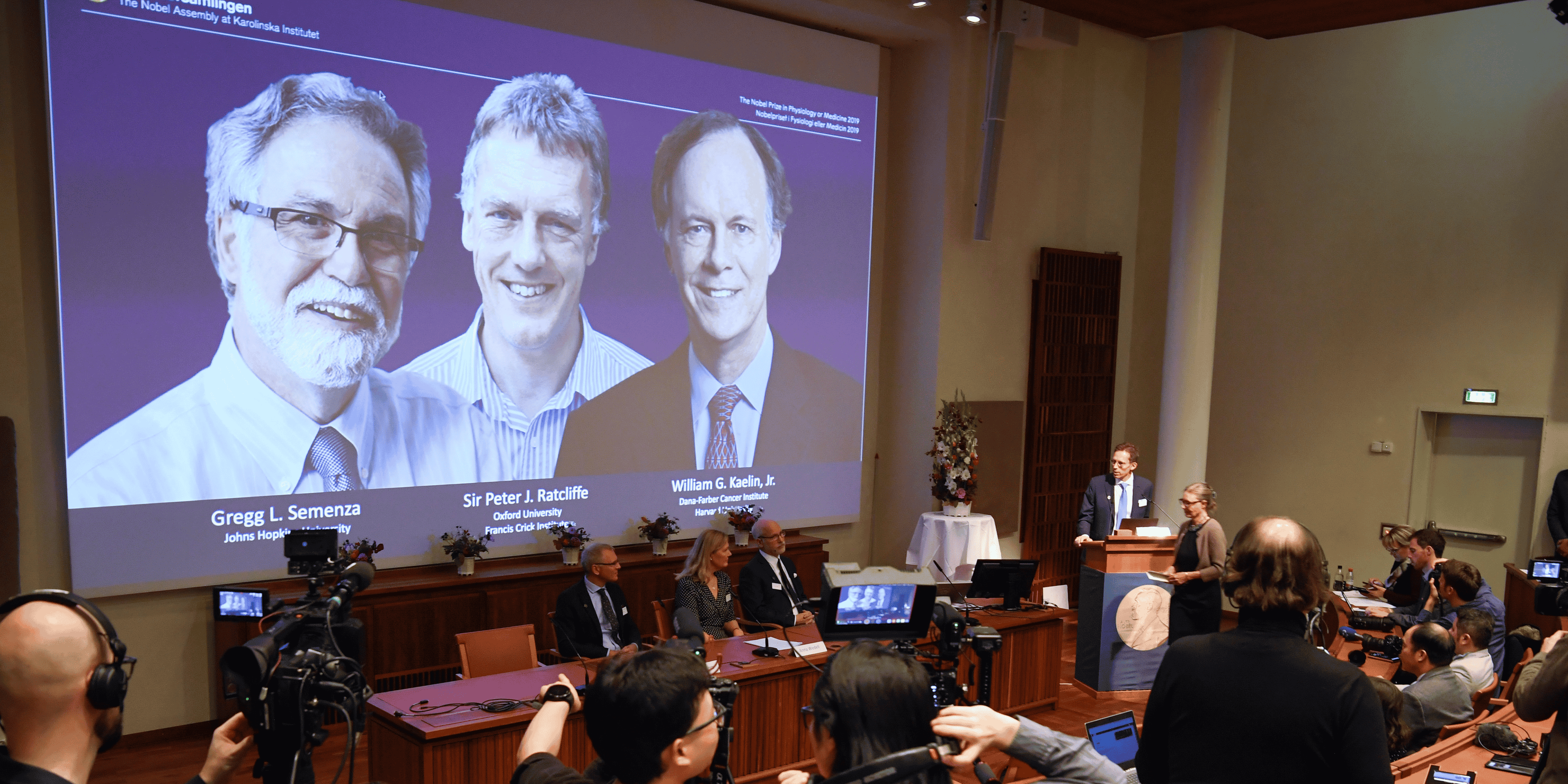 Prix Nobel de médecine 2019, Kaelin, Ratcliffe, Semenza