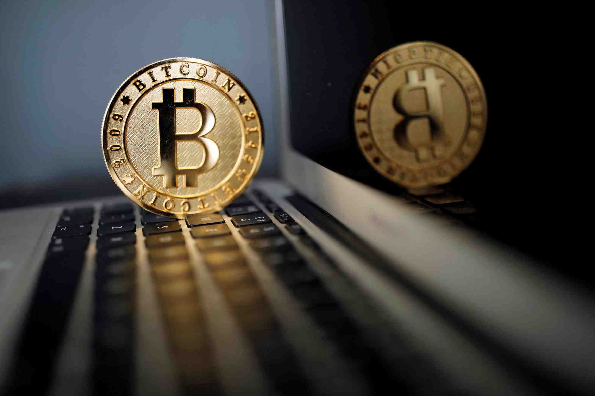 L'engouement pour les cryptomonnaies fin 2023 se montre solide.