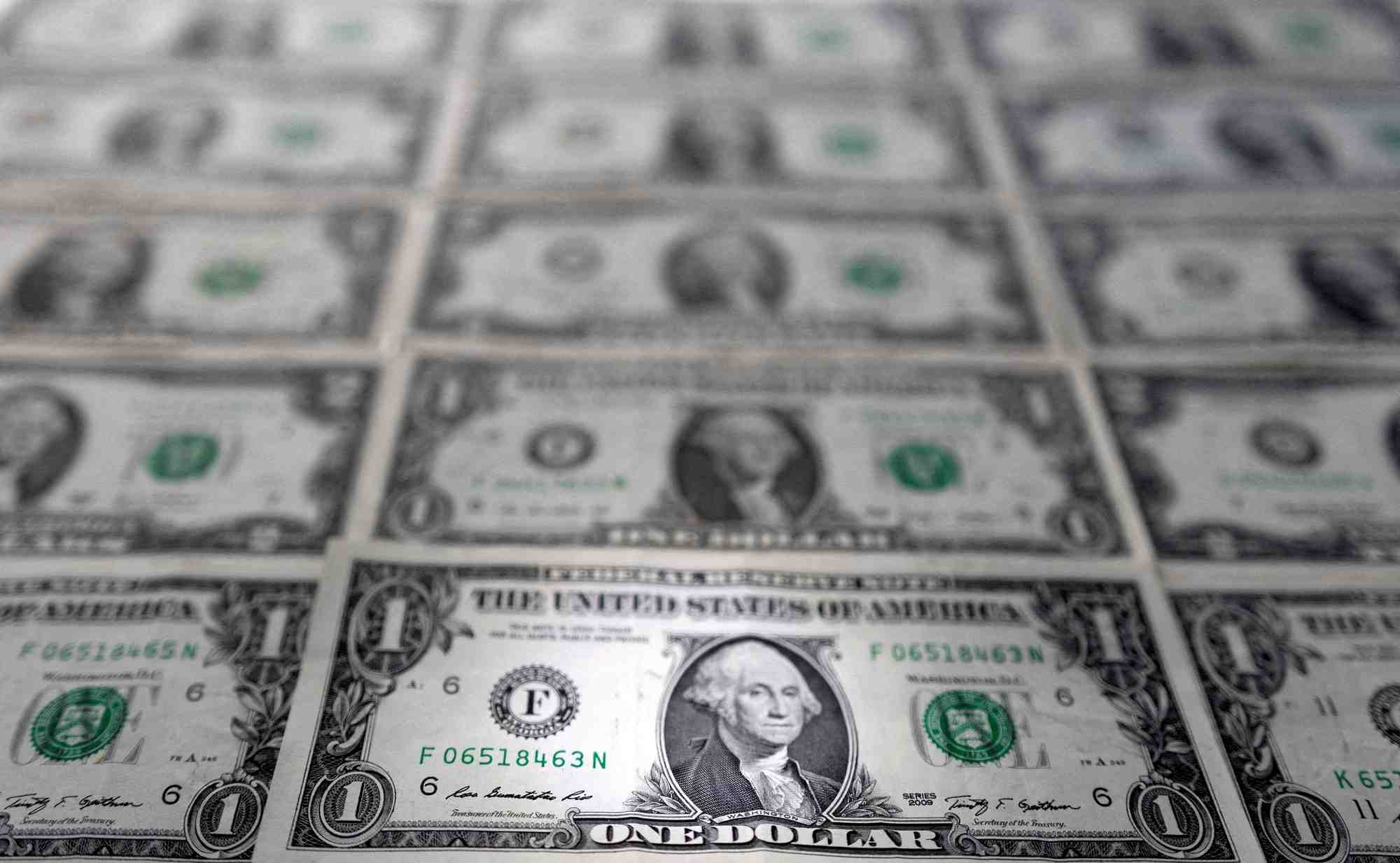 Castor leve 23,5 millions de dollars lors de son dernier tour de table