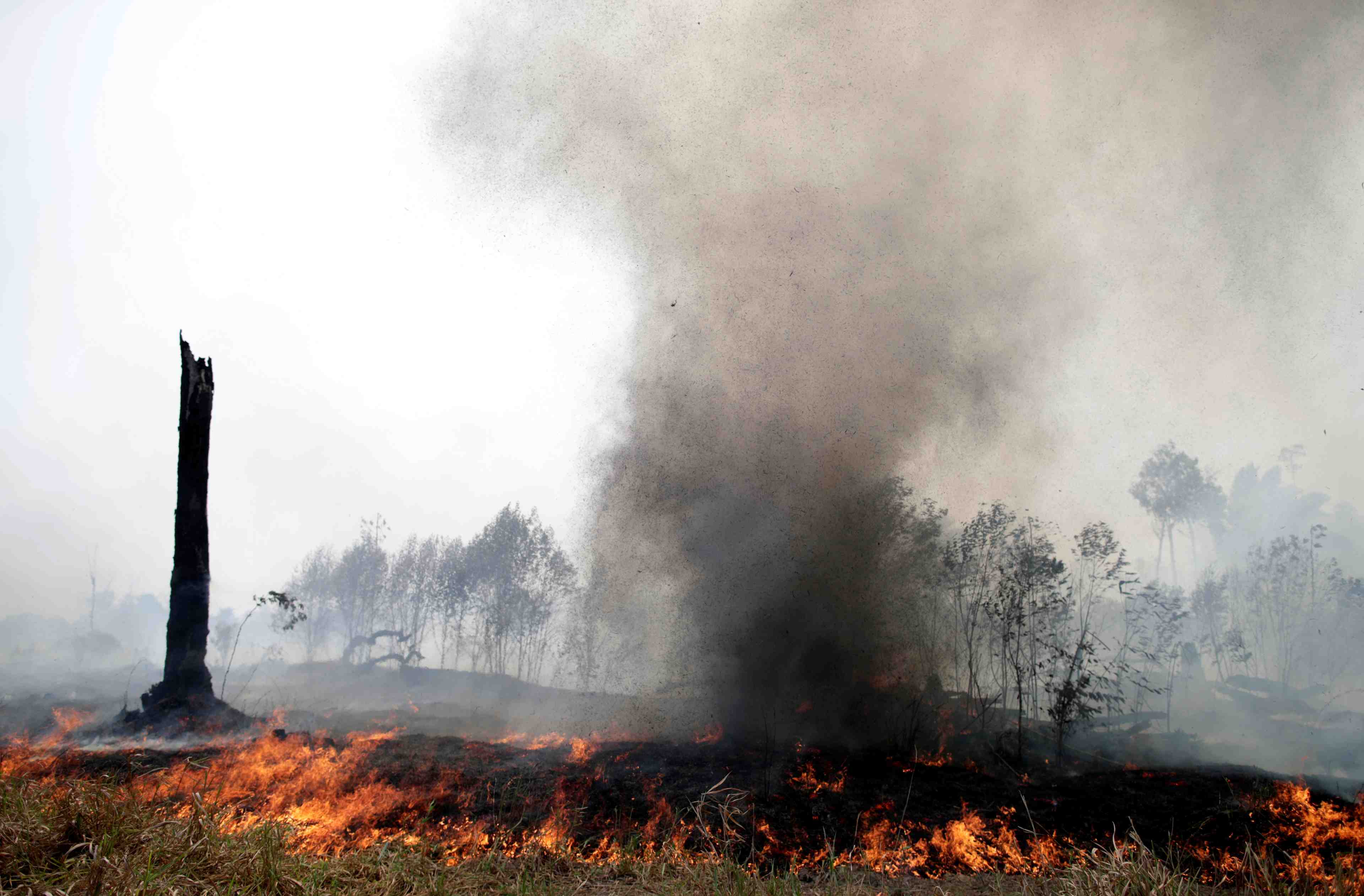 Amazonie: des avions militaires s'activent en appui des pompiers