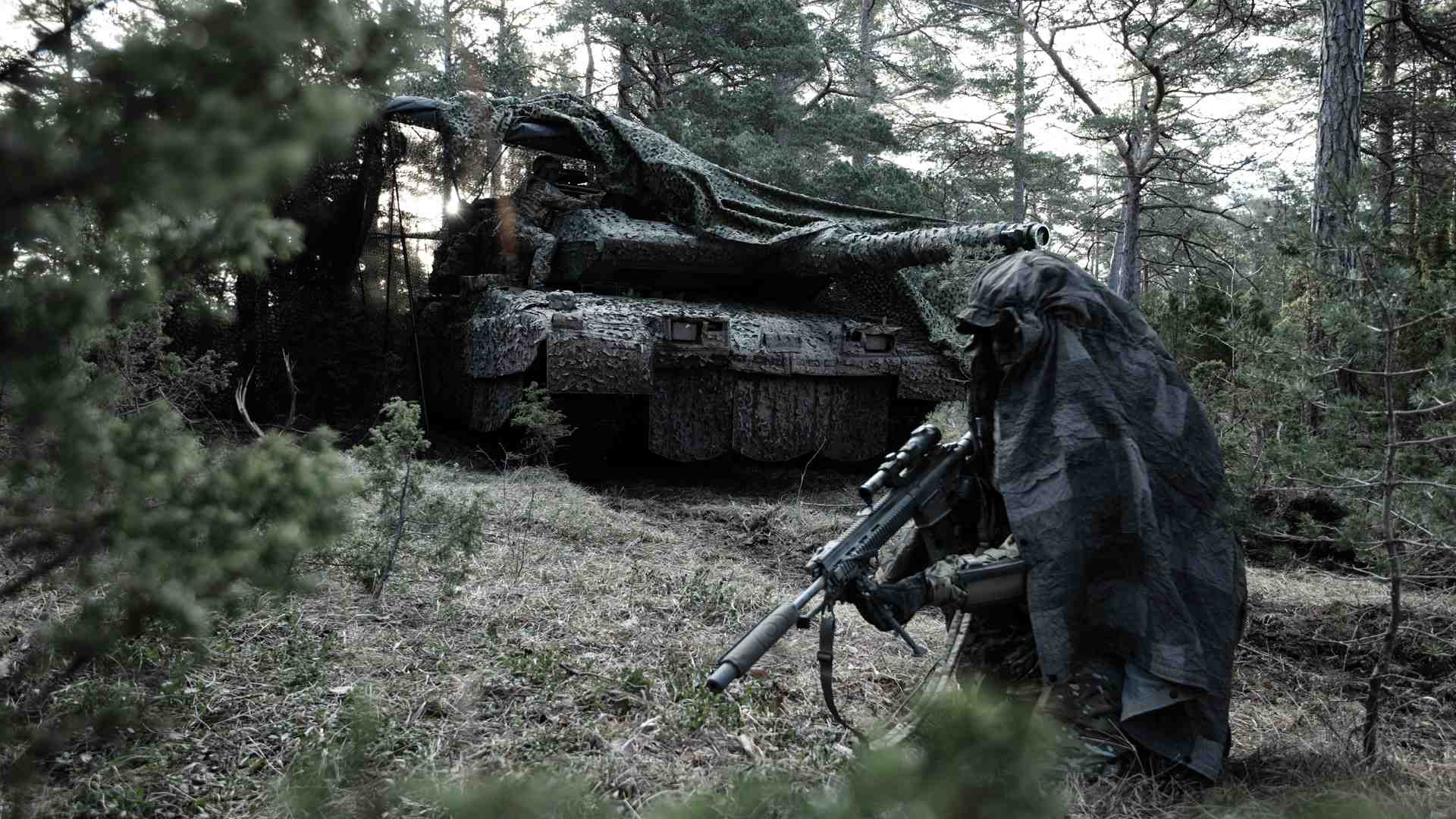 Le camouflage, une des coopérations majeures de Saab en France