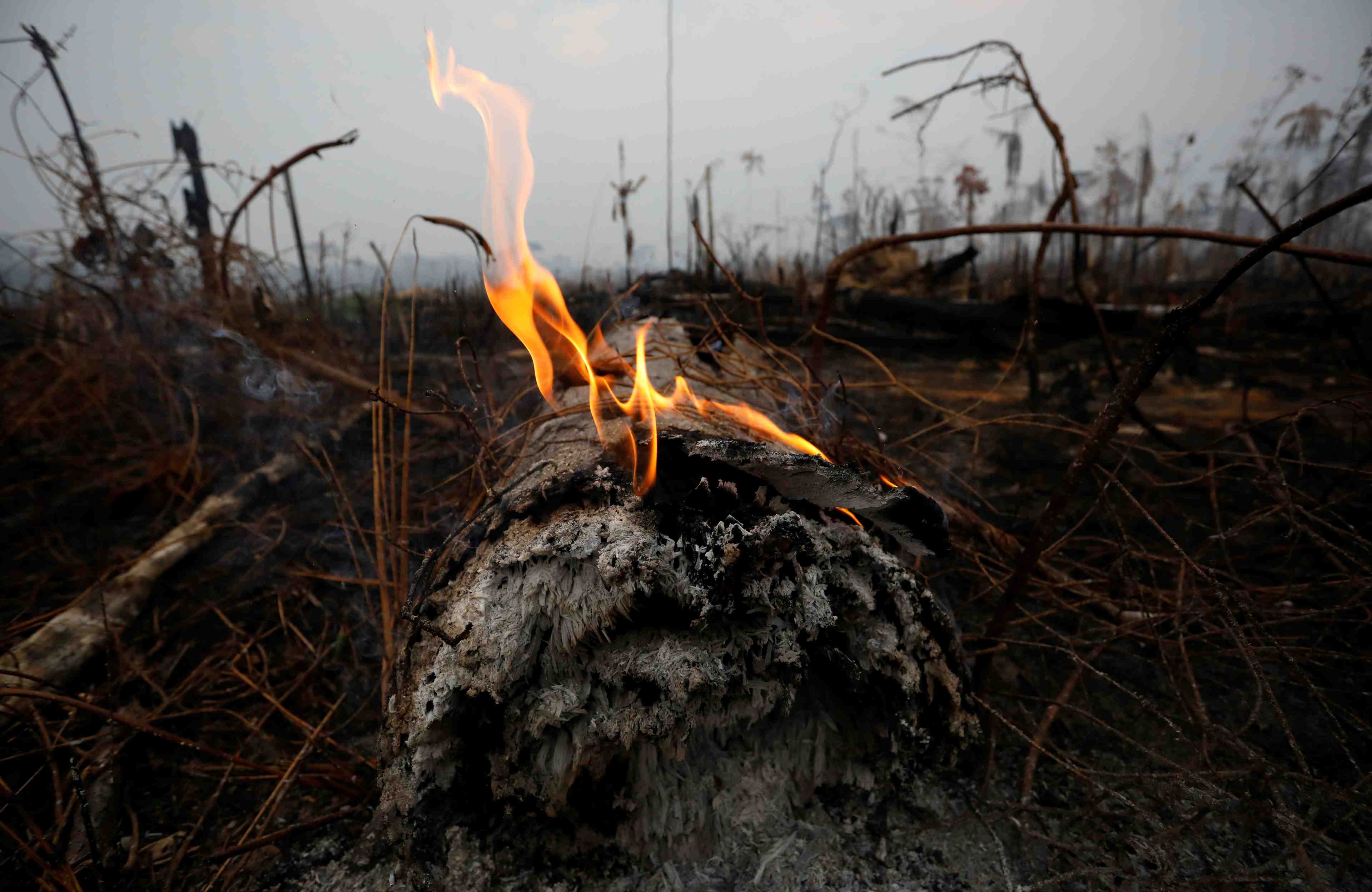 Amazonie: le bresil dit avoir les forces pour lutter contre le feu