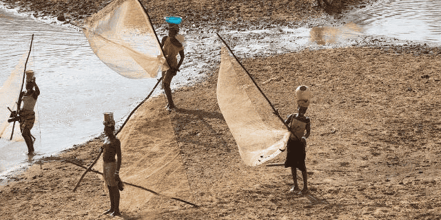 Fleuve Niger Guinée