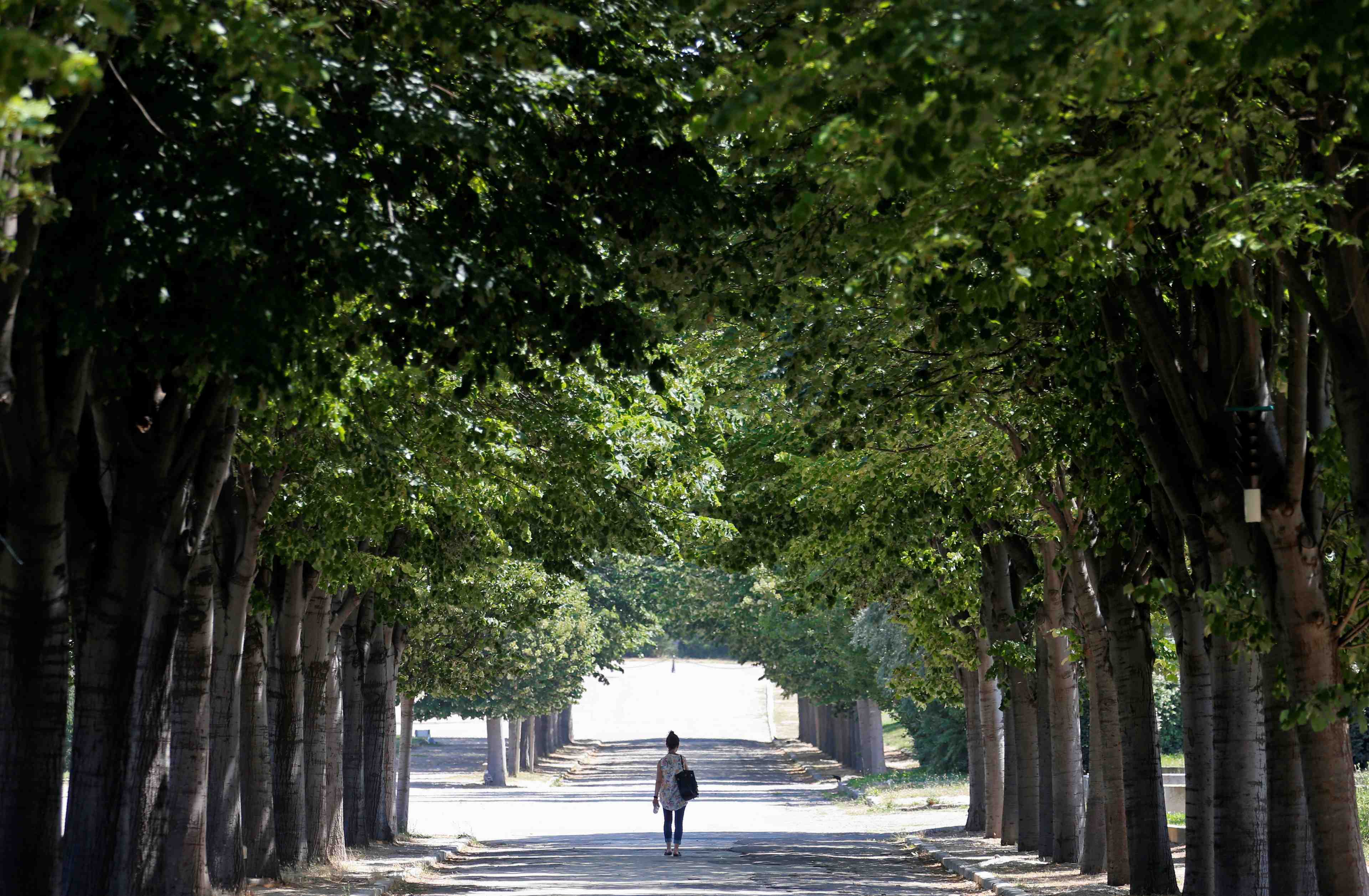 Coronavirus: les mesures anti-covid assouplies a marseille
