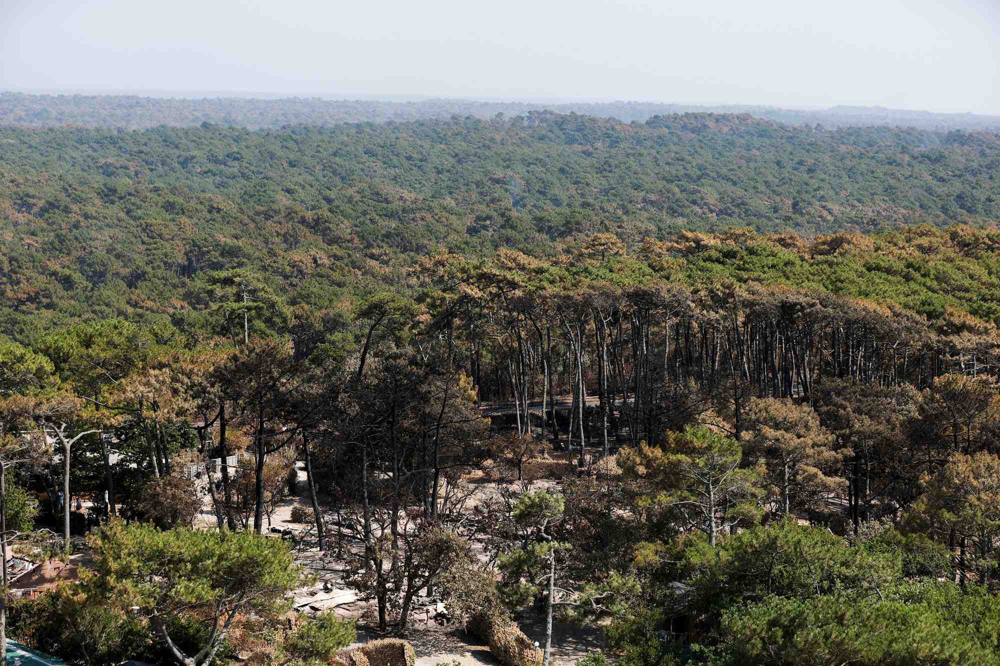 Incendies dans le sud-ouest de la france
