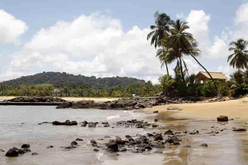 Washington invite les americains a eviter les voyages en guyane