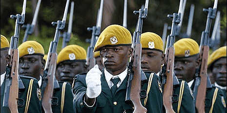 forces armees zimbabwe
